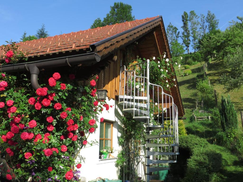Haus Loidl Hotel Sankt Gallen Exterior foto